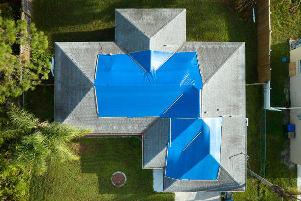 Best Skylight Installation and Repair  in Anthem, AZ